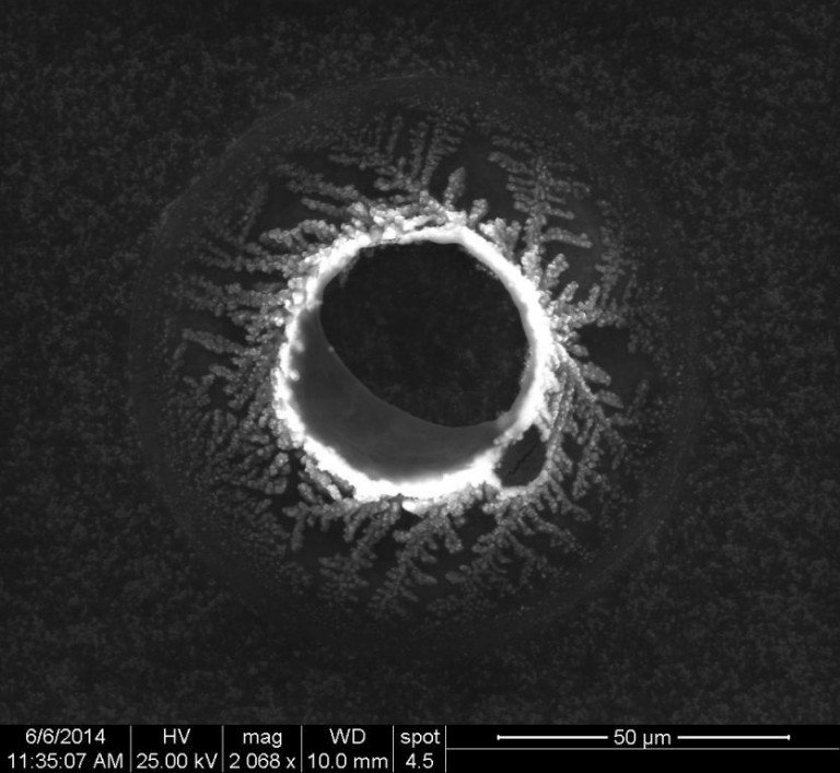 Embedded image permalink