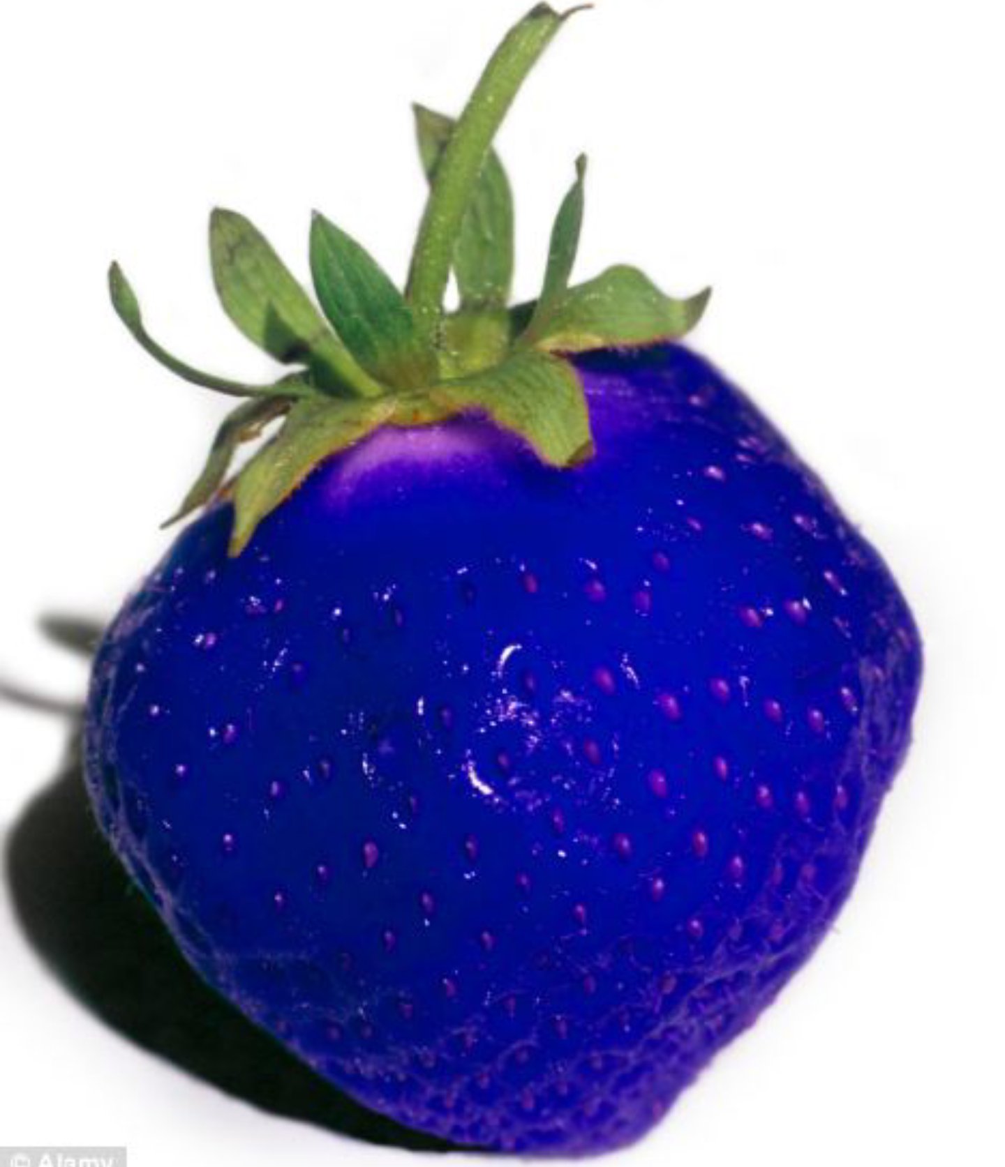 Блуе Strawberry