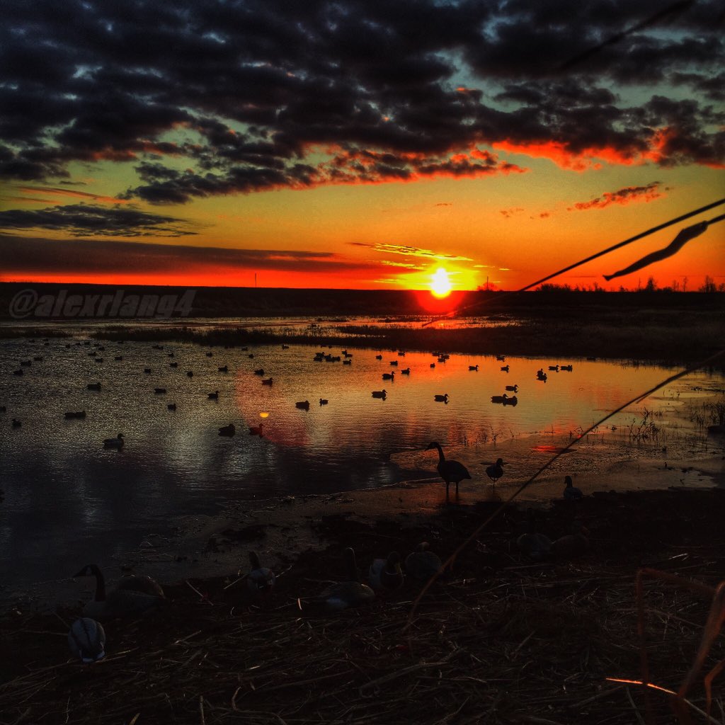 vela_cxehange's tweet image. RT if you&apos;re thankful for duck hunting! #UAfowl