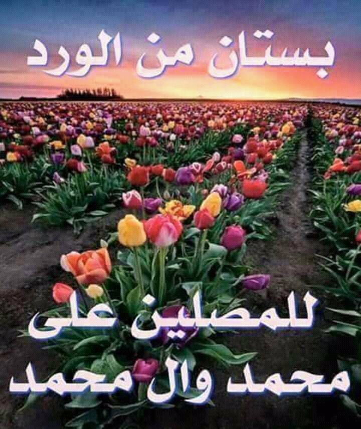 اللهم صلّ على محمد وآل محمد 
اللهم صل  على محمد وآل محمد