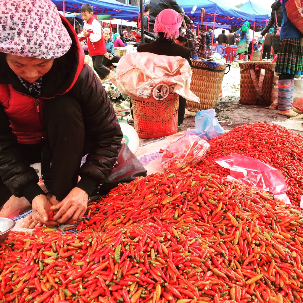 luke_nguyen's tweet image. It's a bit CHILLI in the Northern Mountains of Vietnam.