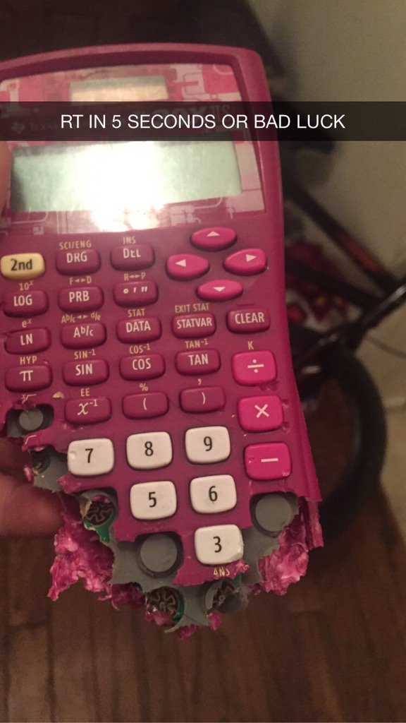 twins_n_wins's tweet photo. MY DOG ATE MY CALCULATOR https://t.co/cqqFLUzQWi