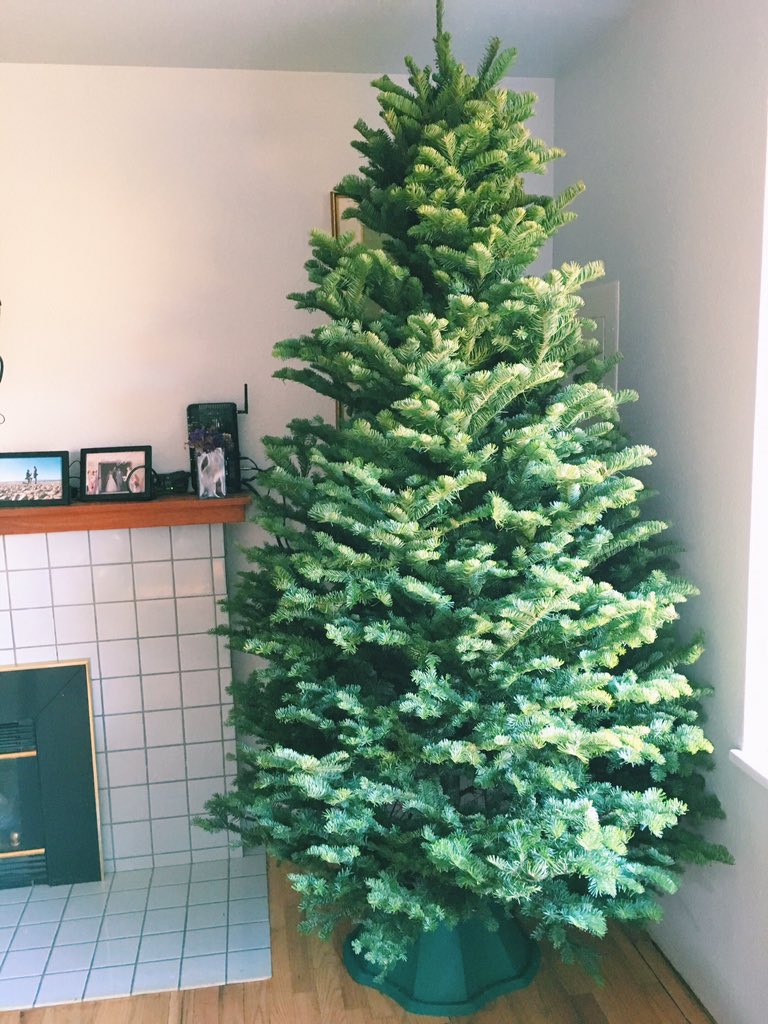 aluiza__'s tweet photo. Fresh clean canvas! #christmasdecorating #Christmastree #letsgetdecorating https://t.co/vfSxOLwHIx