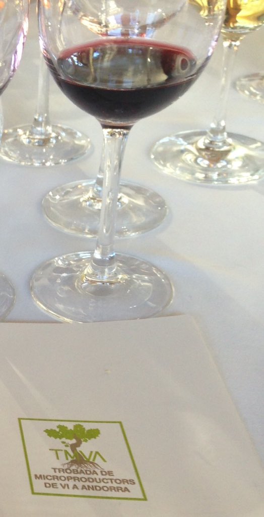 casaauvinya's tweet photo. @TMVIANDORRA gràcies a vosaltres per l'organització de #tmvi15 #aprendre #compartir #amics #wine #winelover #andorra https://t.co/ISbzf5k47P
