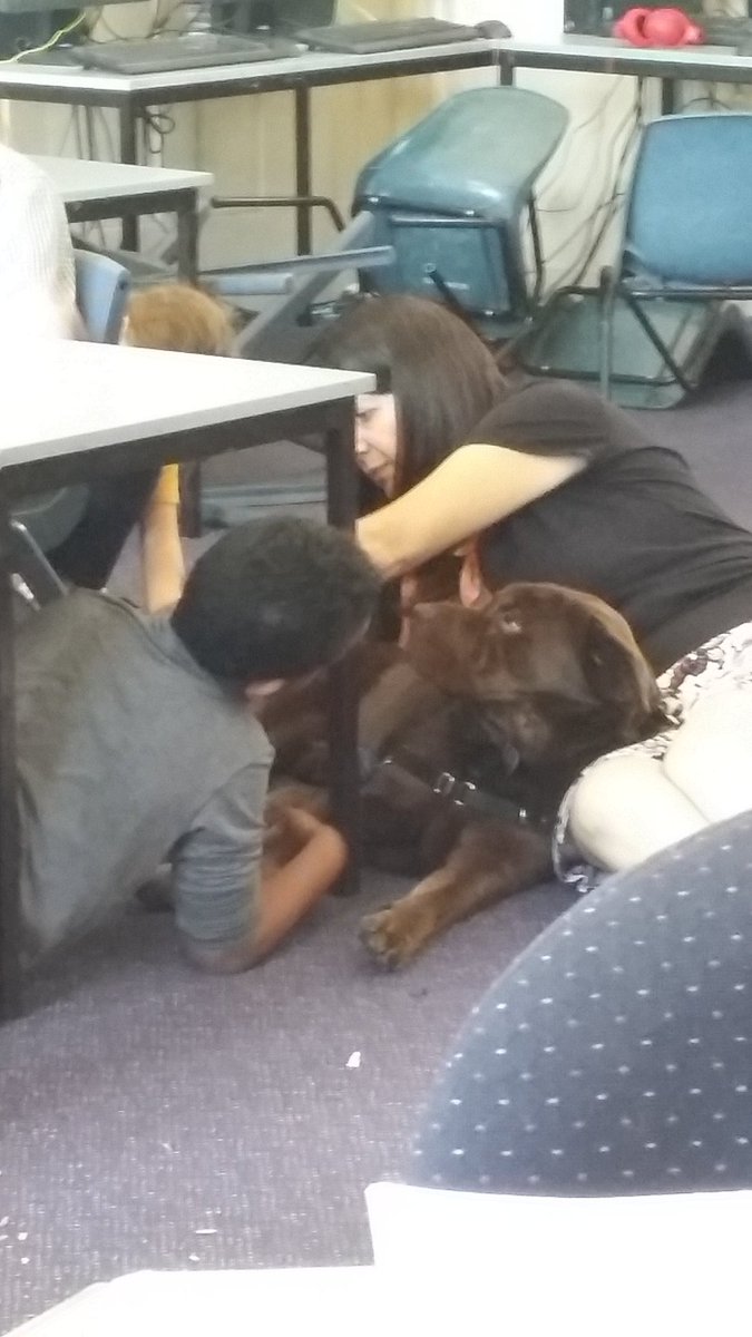 bnwps_claire's tweet photo. Barney loves spy time when we work on the floor #creativity #workingundercover https://t.co/HPba7Cr4nP