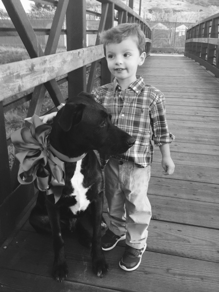 caskeybair's tweet photo. Jake and Nicholas https://t.co/kwXihT8UNZ