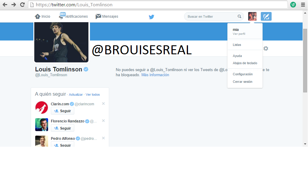 BROUISESREAL's tweet photo. OK, LOUIS ME BLOQUEO Y ACEPTO QUE ES POR EL TWEET DONDE LE DIJE QUE SI AMABA A BRIANA ME SIGUIERA, PERO ME VALE https://t.co/oE7AYgWaXv