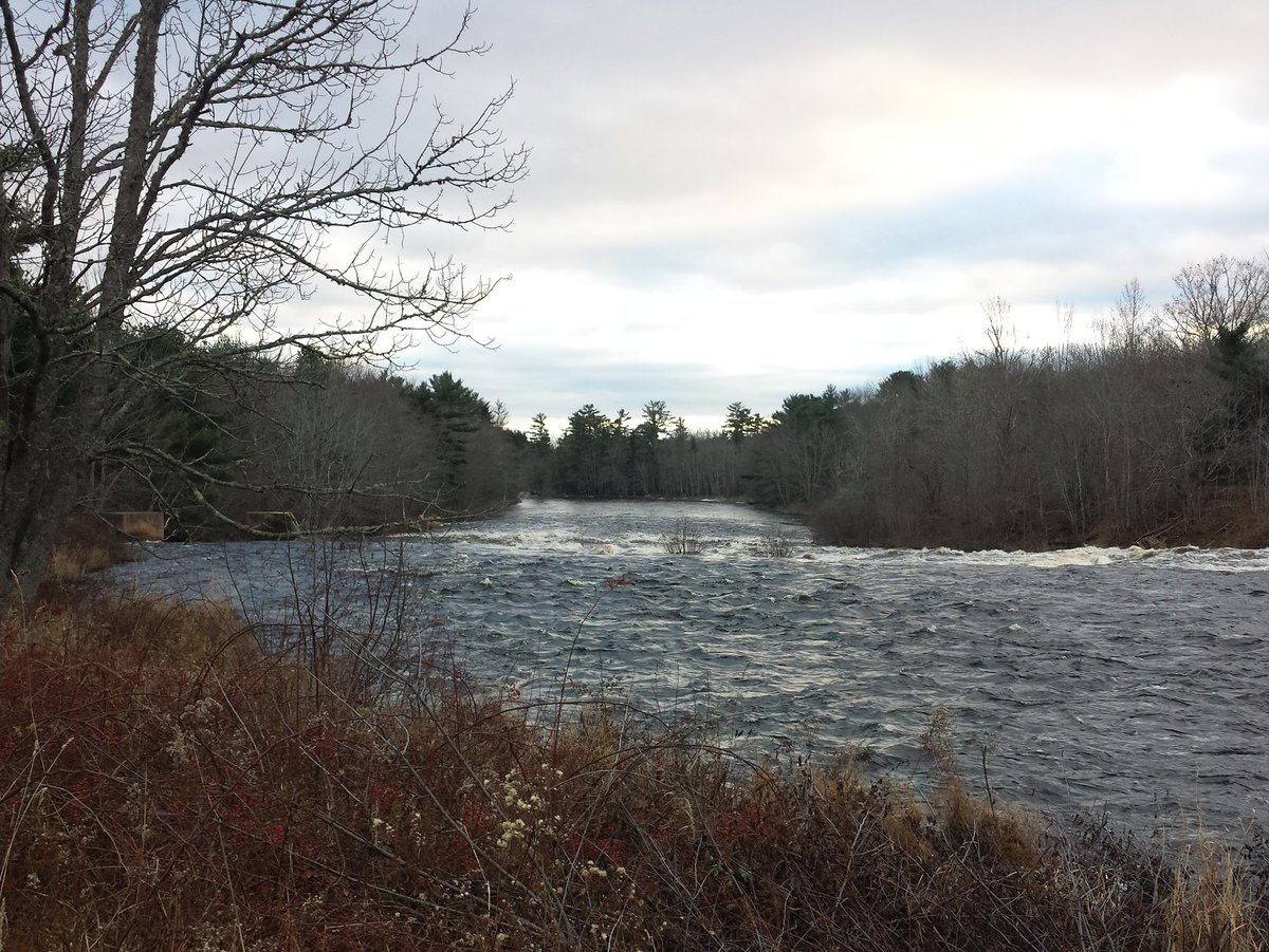 2/7 Medway River and Freeman's Lumber, still in operation... Nov. 29. 2015
