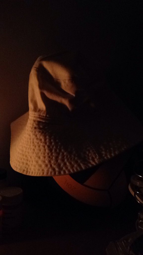 gianna_honch's tweet photo. My hat is white even though it doesn't look like it in the dark #colorconstancy @PHSAPPsych https://t.co/Ljb0Bv4k3C