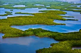 Although we may be flat, we are definitely NOT boring.