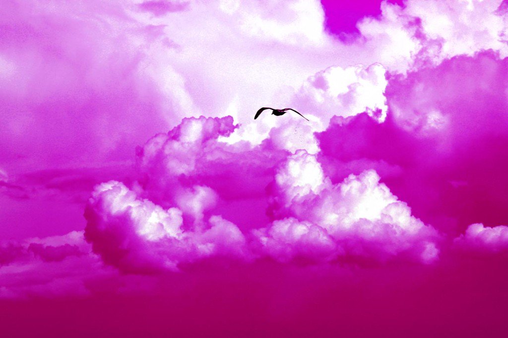 SocialIvanKv's tweet photo. Amazon Cloud ... - https://t.co/Pvq5lMzoEg #AmazonCloudDrive #ApplesICloud #BestAmazonDeals #DropboxPro https://t.co/Ue3jp6TGhL