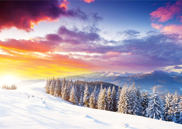 Colcrippa's tweet photo. Chi l'ha detto che l #inverno non è colorato? Buona settimana, cari amici del #colcrippa #lunedi https://t.co/USFS6op1gY
