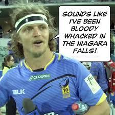 DavidDavidwhyte tweet picture