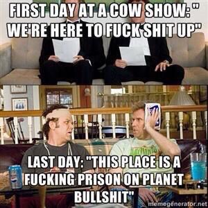 SarahLeguee's tweet photo. Pretty much sums that up... Only worked from Wednesday til today &amp; I'm still ready to keel over lol. #cwa15 https://t.co/vmMq7NfRm4