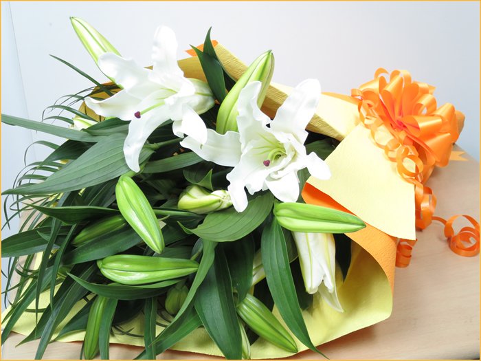 panyreqacako's tweet photo. 花束 カサブランカの花束 送料無料 花束プレゼント 花ギフト 誕生日 花束
花束送料無料 誕生日の花束
https://t.co/tzm09lSBja https://t.co/t56R4MQ8ZV
