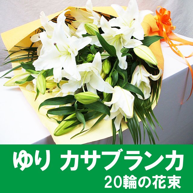 panyreqacako's tweet photo. 花束 カサブランカの花束 送料無料 花束プレゼント 花ギフト 誕生日 花束
花束送料無料 誕生日の花束
https://t.co/tzm09lSBja https://t.co/t56R4MQ8ZV