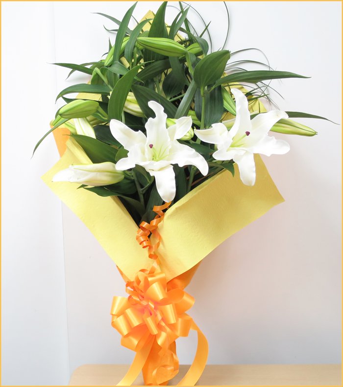 panyreqacako's tweet photo. 花束 カサブランカの花束 送料無料 花束プレゼント 花ギフト 誕生日 花束
花束送料無料 誕生日の花束
https://t.co/tzm09lSBja https://t.co/t56R4MQ8ZV