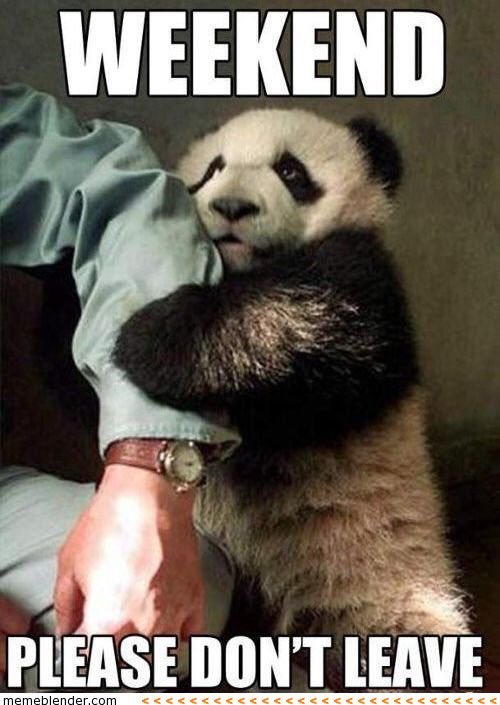 FlowerpotTauni's tweet photo. Sundays got me feeling like... #Meme #Weekend #BabyPanda https://t.co/cBbrO2TOAZ