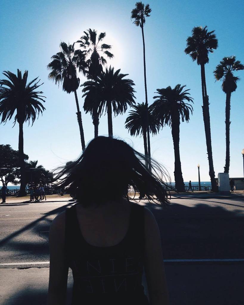 MonSloane's tweet photo. California Vibes 🌴 #LA #venicebeach https://t.co/V6xZUj6bd1