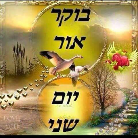 eiris68 tweet picture
