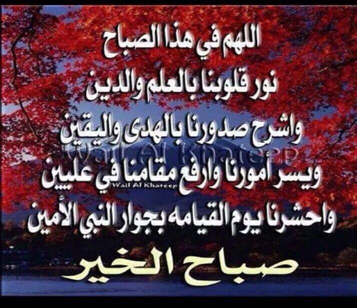 gedo1515's tweet photo. صباح الحير https://t.co/QGRHvcUMdr