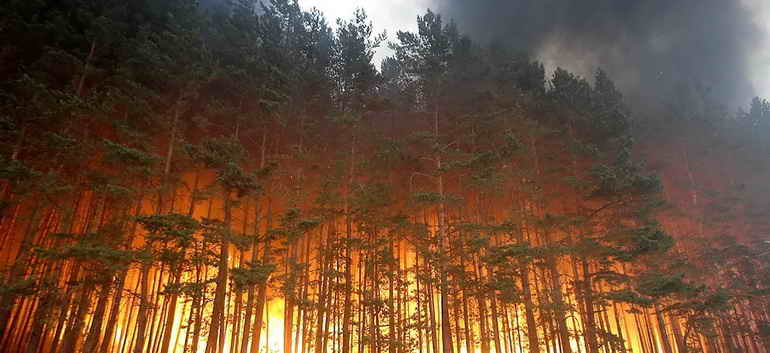 ekovolga tweet picture