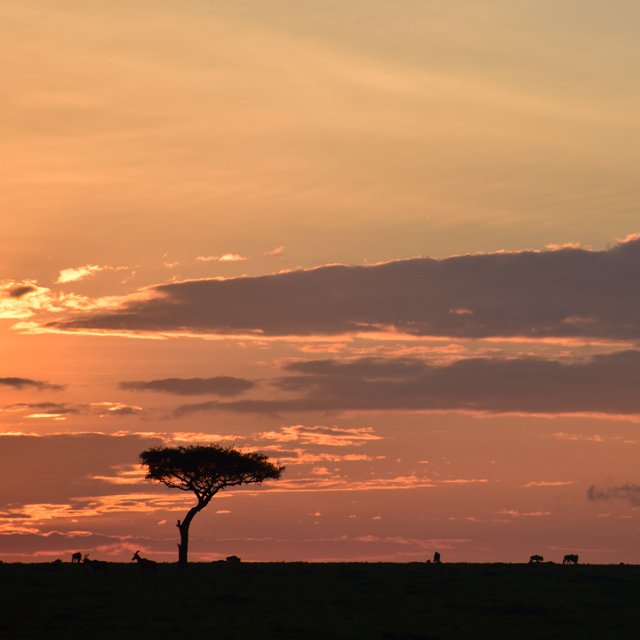 anserai's tweet photo. Adventures in Africa! #nextcollection https://t.co/K5CnT022QY