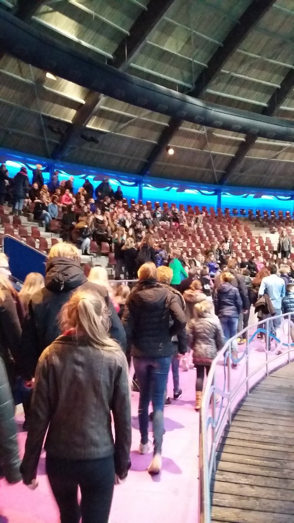 RegioNrdVeluwe's tweet photo. Geslaagde #fundag #NoordVeluwe voor zo'n 190 #jongemantelzorgers in het @Dolfinarium @swputten https://t.co/wmVohPAz6T