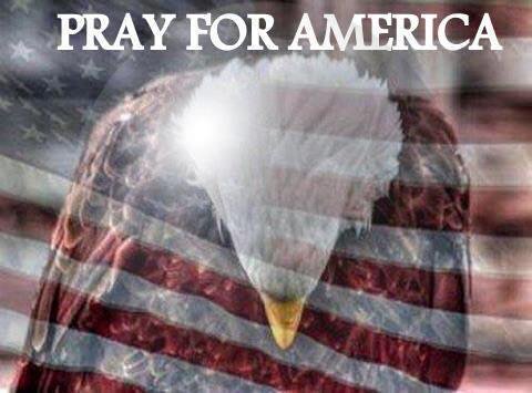 RoyCandee's tweet photo. It is crazy how many bald eagles they've caught on camera in mid-prayer recently. @jimmyfallon @MericaSupplyCo https://t.co/bzE1MYijgt