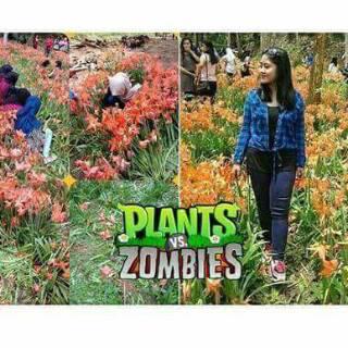 mr_sagala's tweet photo. @SarahSechan_NET https://t.co/wy4tKFHkFs