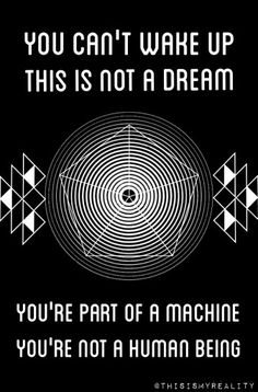 dumunicorns's tweet image. 