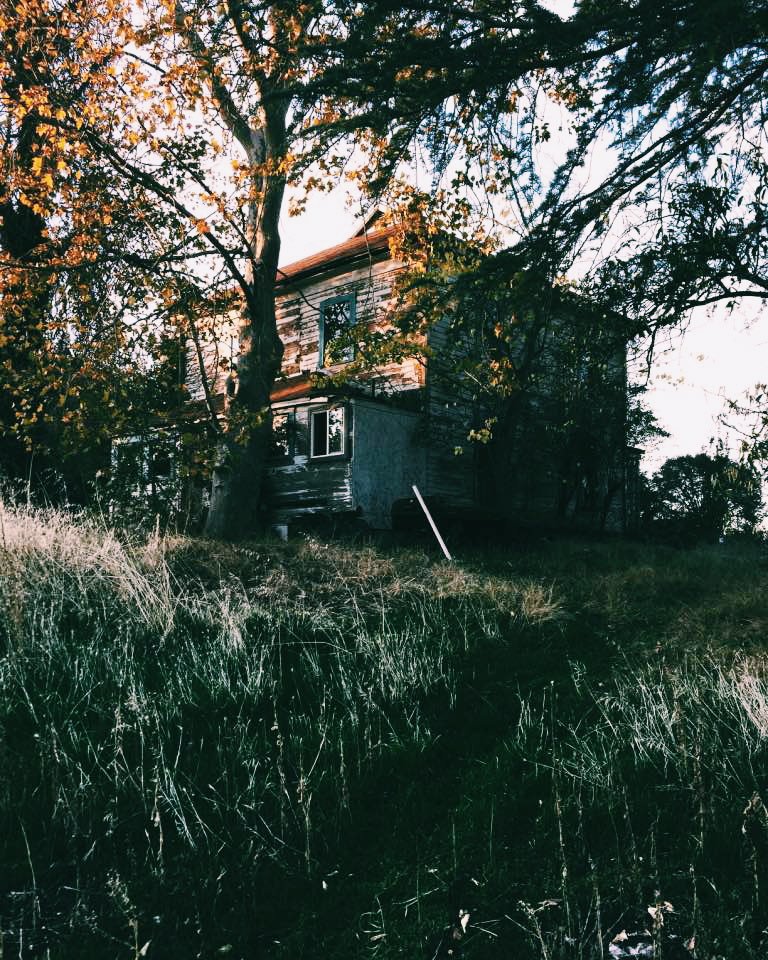 dumunicorns's tweet image. How pretty