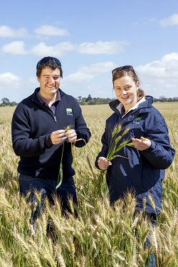 Rural_Dir's tweet photo. We are recruiting agribusiness consultants https://t.co/sfnQ3GuHZd. Opportunity exists to join our agronomy team! https://t.co/iASwBS82x9