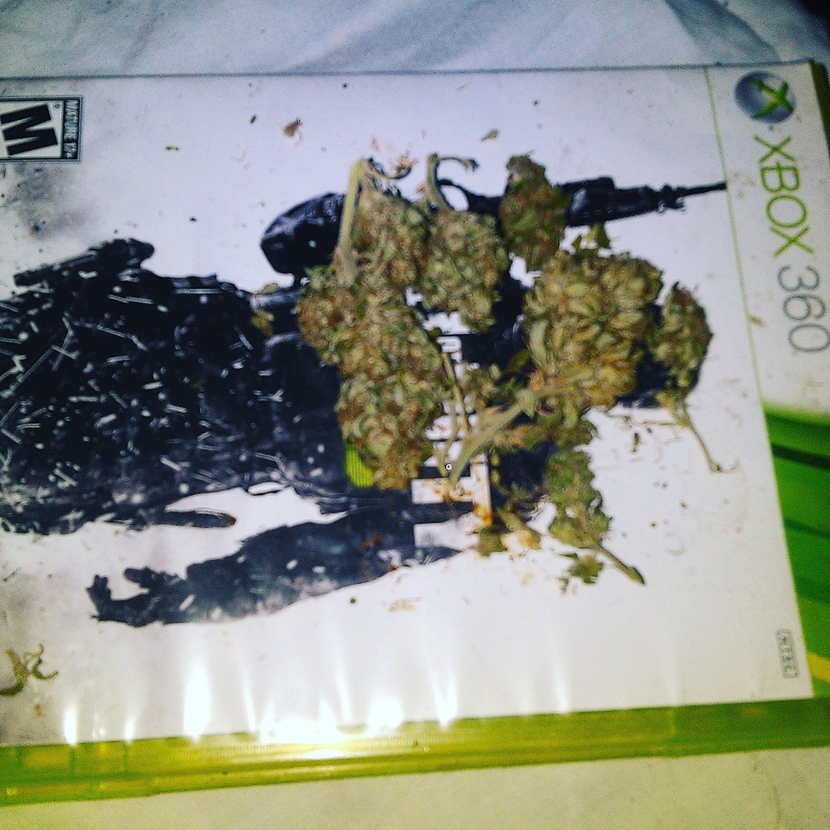 robertd96149090's tweet photo. #dopesack 💯🌿🍇💨🔥🔥🔥 https://t.co/F7VmMsBZT5