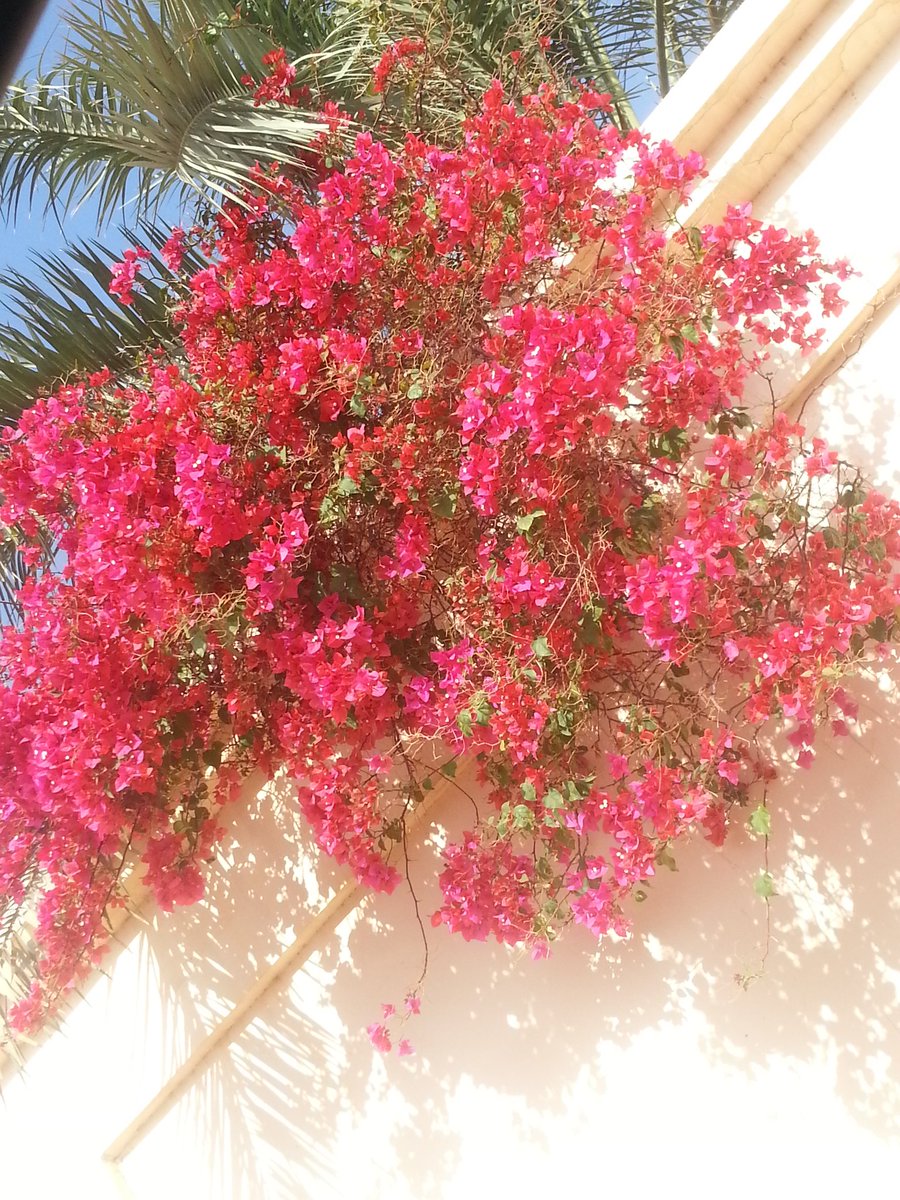 مع إشراقه كل صباح
املأ قلبك بالحب والأمل واجعله ملوناً بألوان

سبحان الله وبحمده