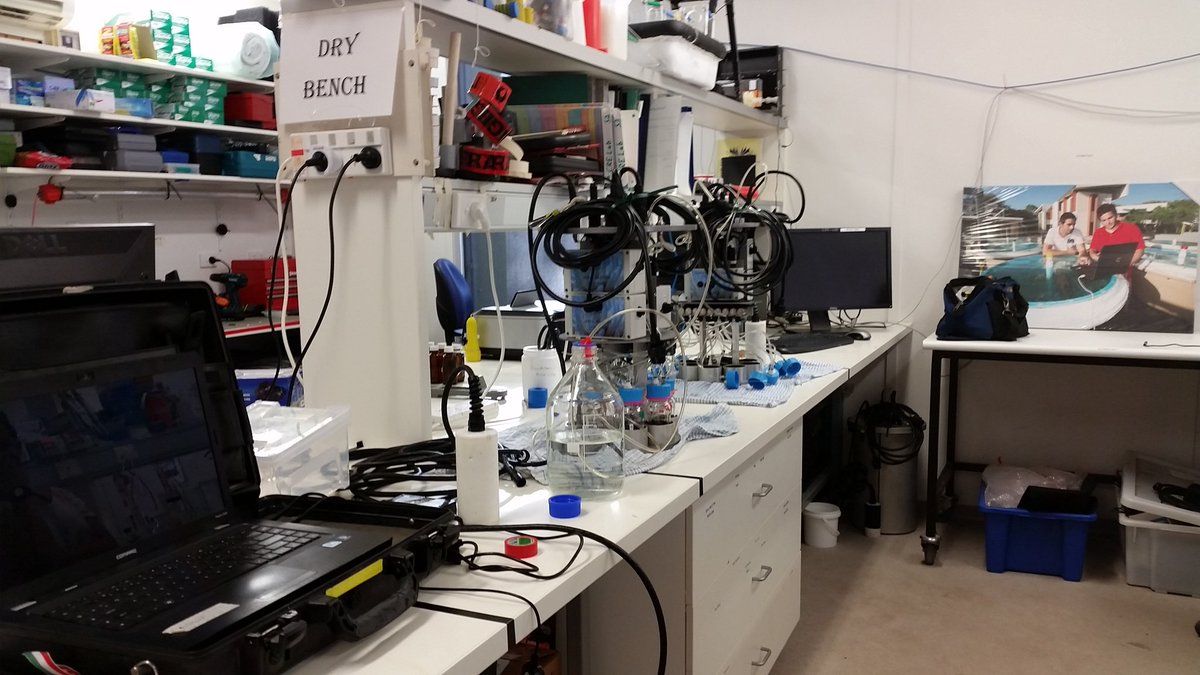 chofaleta812's tweet photo. @CoralReefs_UQ #research #autoboxing with Liliana Pap. @heronisle https://t.co/oWDEegjeYo