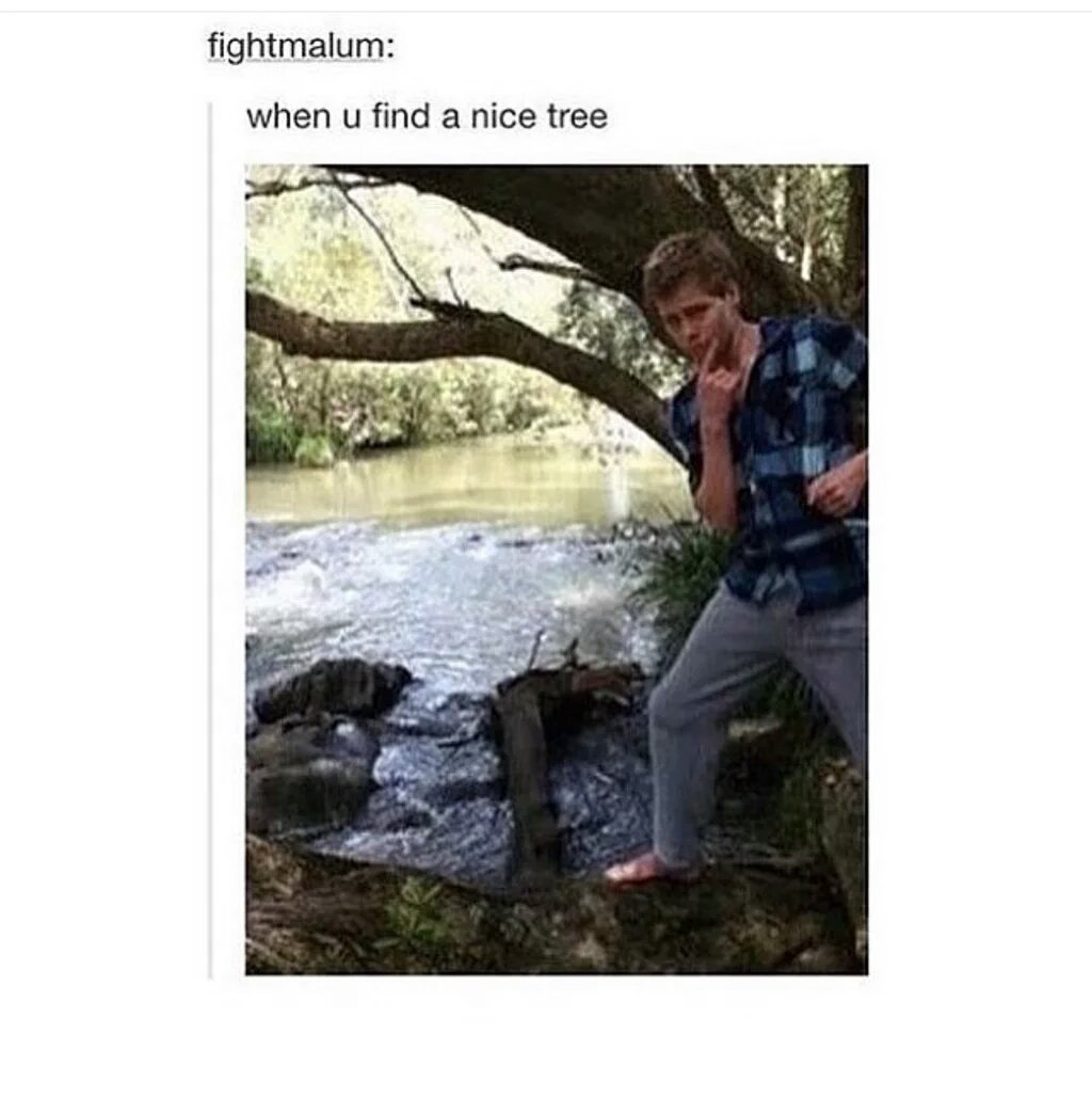 5SOSNZUpdater's tweet photo. IM LAUGIING SO HARD #MTVStars #VideoMTV2015 5 Seconds Of Summer -K https://t.co/cUqckF2WWa