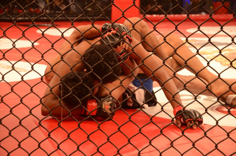 TheFightLeague's tweet photo. SFL 43 Delhi Show 
#MMA #India #SFL43 https://t.co/E4gdlnOMWl