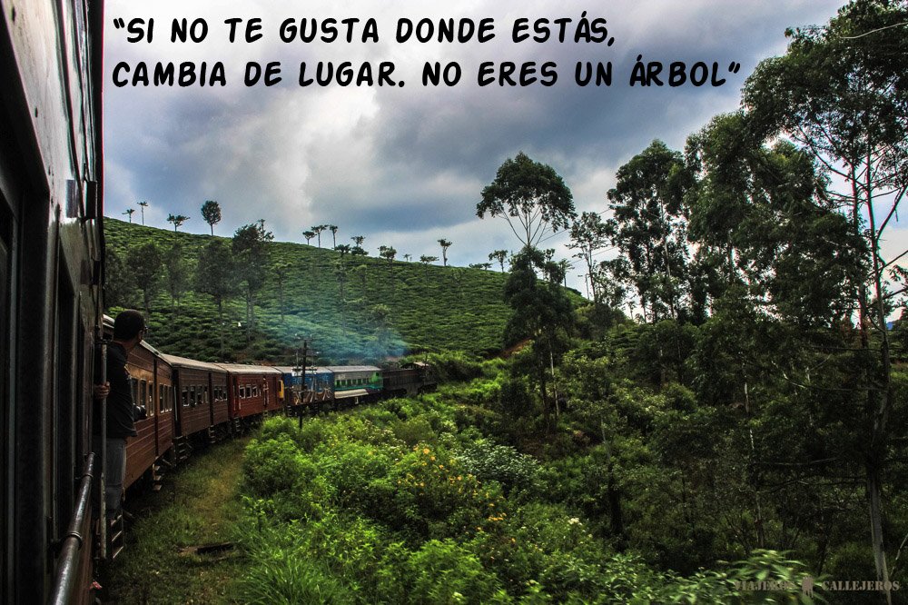 viajeroscalle's tweet photo. "Si no te gusta donde estás, cambia de lugar. No eres un árbol" #FelizLunes https://t.co/diTjBt5Uh5