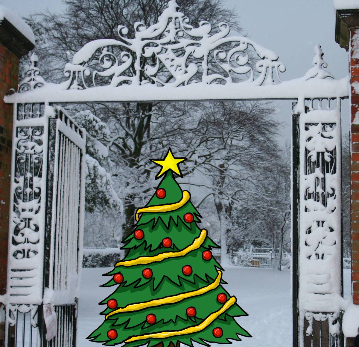littlecatcafe's tweet photo. Christmas Trees for sale @littlecatcafe  All sizes  - collect / delivered  #christmastree https://t.co/UKYaZ4NGZG