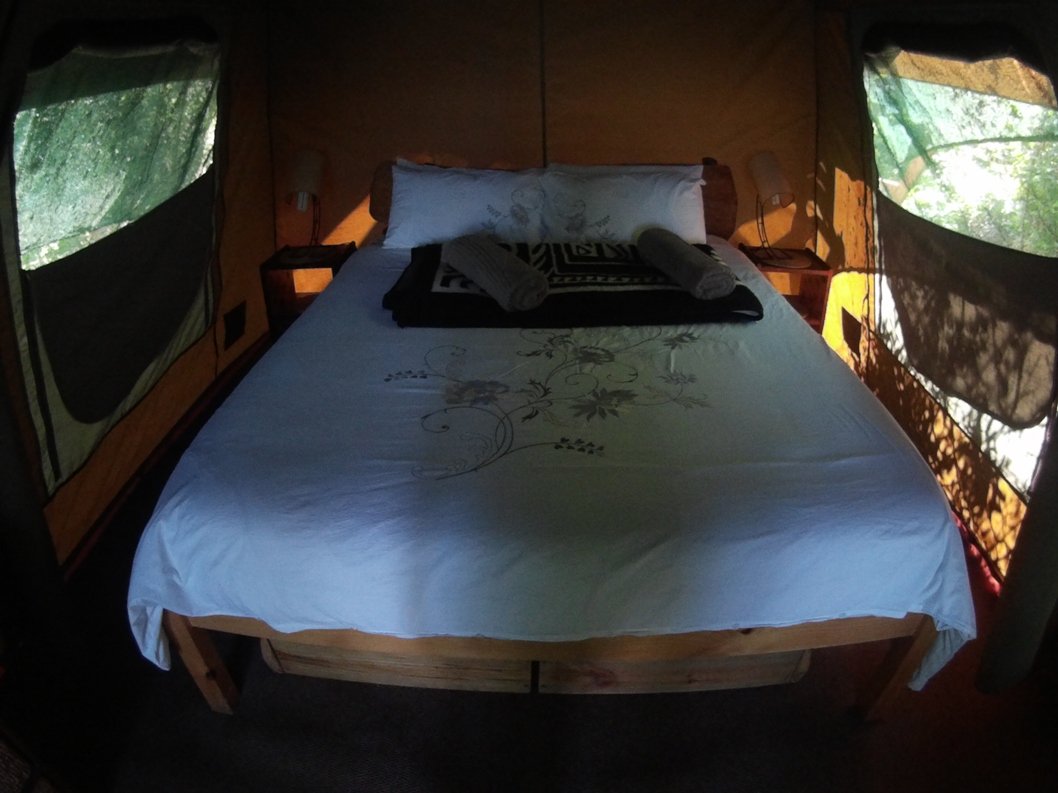 teniquatreetops's tweet photo. Open up to Natural living #forestg #knysna #glamping @GoToSouthAfrica @SouthAfrica @ShotLeft @SouthAfricais https://t.co/pmn41qh69Z