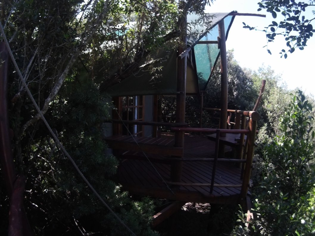 teniquatreetops's tweet photo. Open up to Natural living #forestg #knysna #glamping @GoToSouthAfrica @SouthAfrica @ShotLeft @SouthAfricais https://t.co/pmn41qh69Z