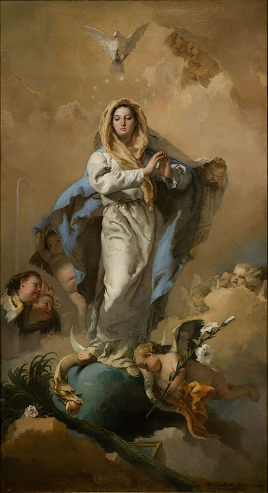 JuanjoRomero's tweet photo. Hoy comienza la Novena de la Inmaculada Concepción, ¿a que viene bien que te lo recuerden? https://t.co/jqGcAhYoi1