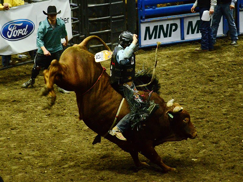 LizPittman_'s tweet photo. Great photo by Krunoslav Cestar! Kudos to @Agribition for putting on another fantastic event! #CWA15 #yqr #Sask https://t.co/ryzEC8wPqt