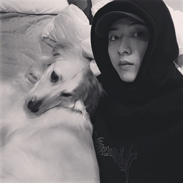 埋め込み画像への固定リンク