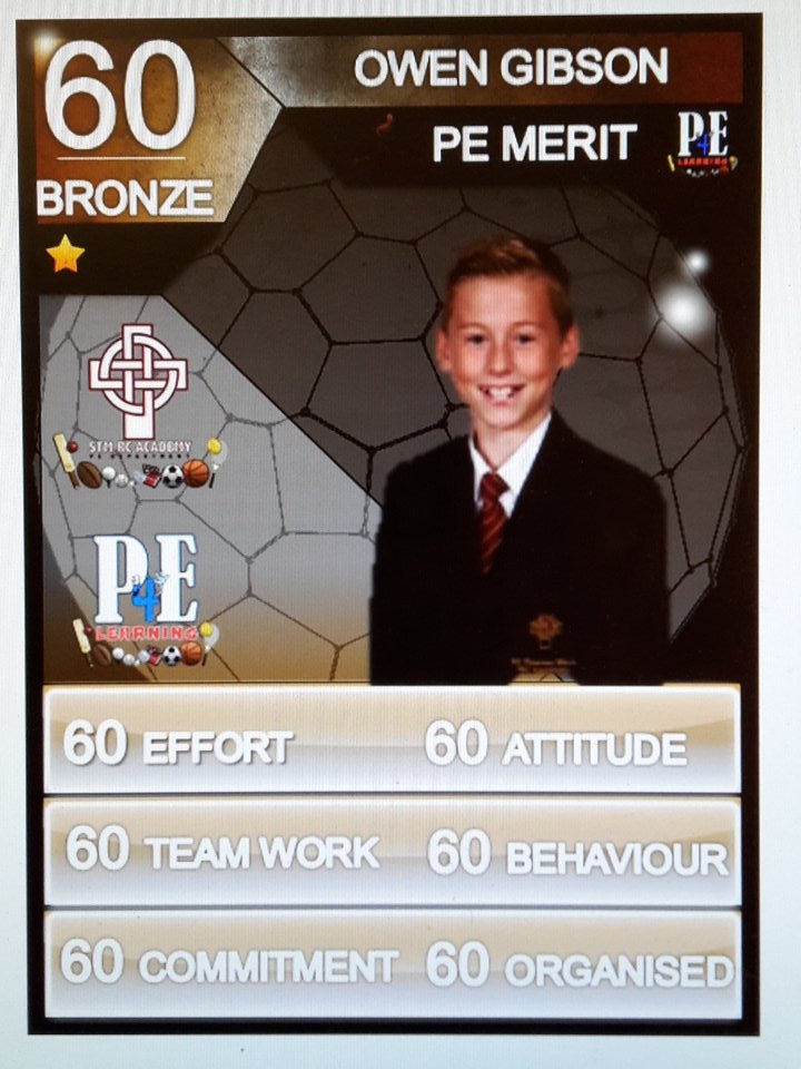 STM_PE's tweet photo. Well done to our @STM_PE Bronze Stars in PE #PELads #rolemodels #Legends https://t.co/RWQUrSMFtB