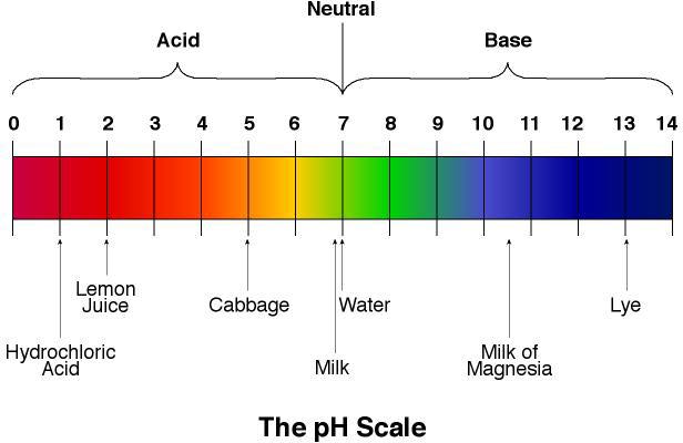 amargareth3272's tweet photo. Nutitional Ph Levels And Natural Indicators ~~> https://t.co/SCmKvTvpdG #NaturalIndicators #Nutritional #PhLevels https://t.co/0HtQtRAeQh