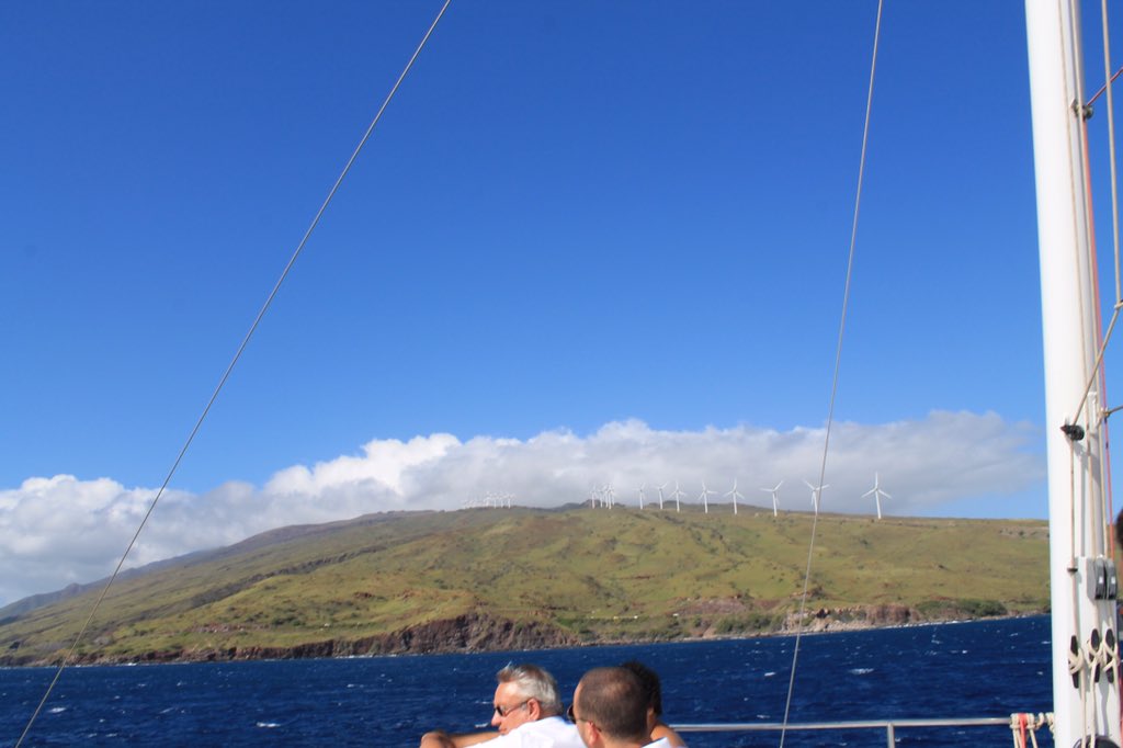 Kabecerril's tweet image. Surprisingly this turn out to be a great shot!