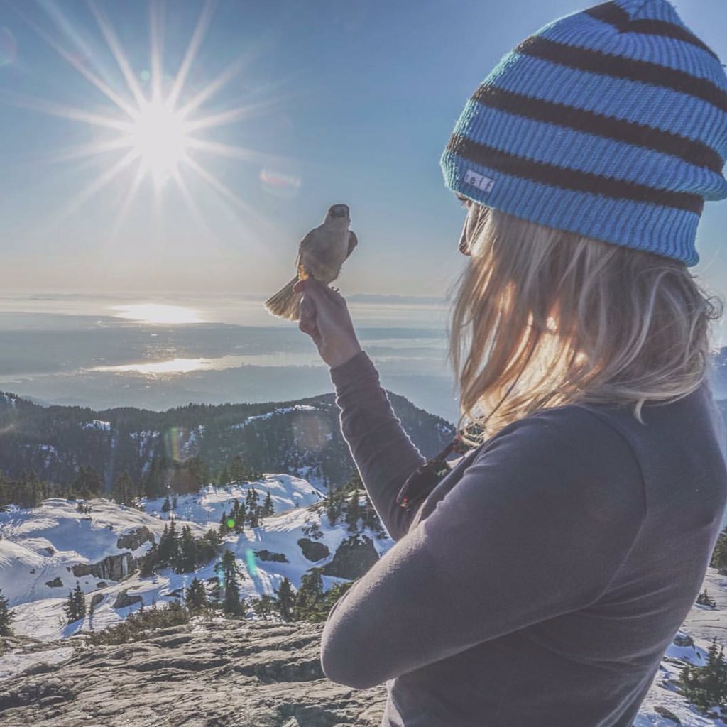 AwesomenessMost's tweet image. This buddy came by 🐦