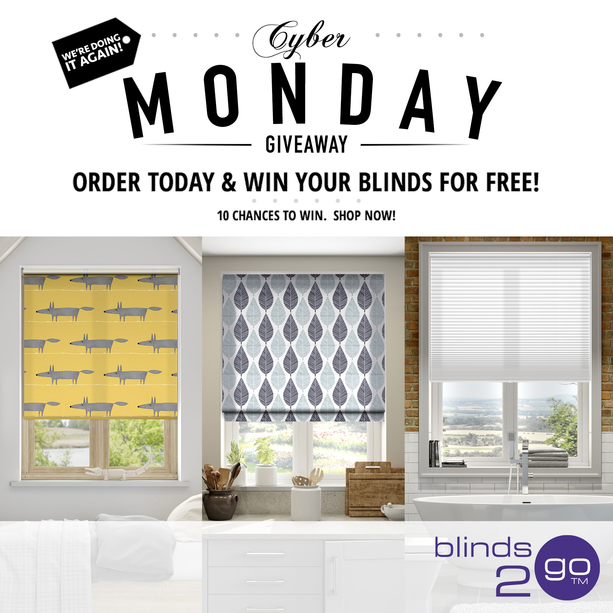 blinds 2 go